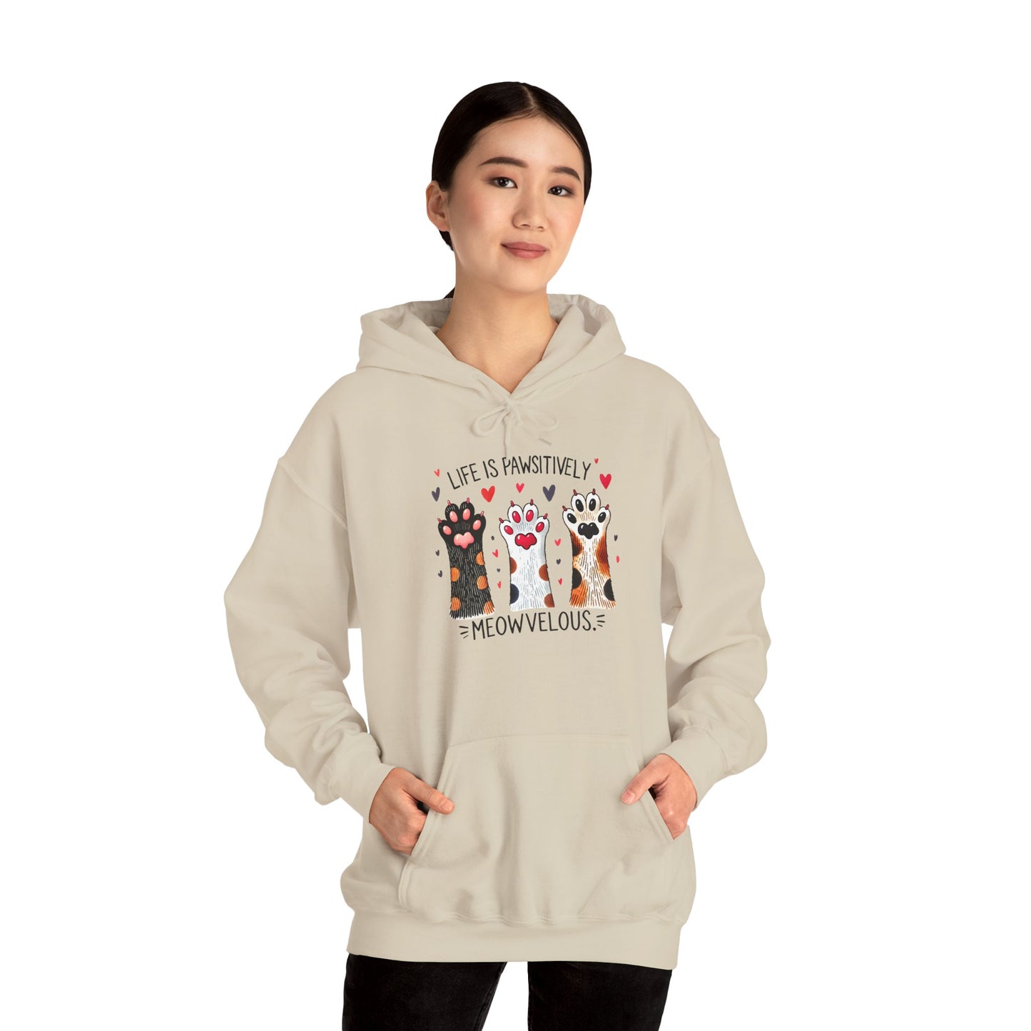 Cat Lover Hoodie — "Life is Pawsitively Meowvelous" Cute Cat Graphic Pullover