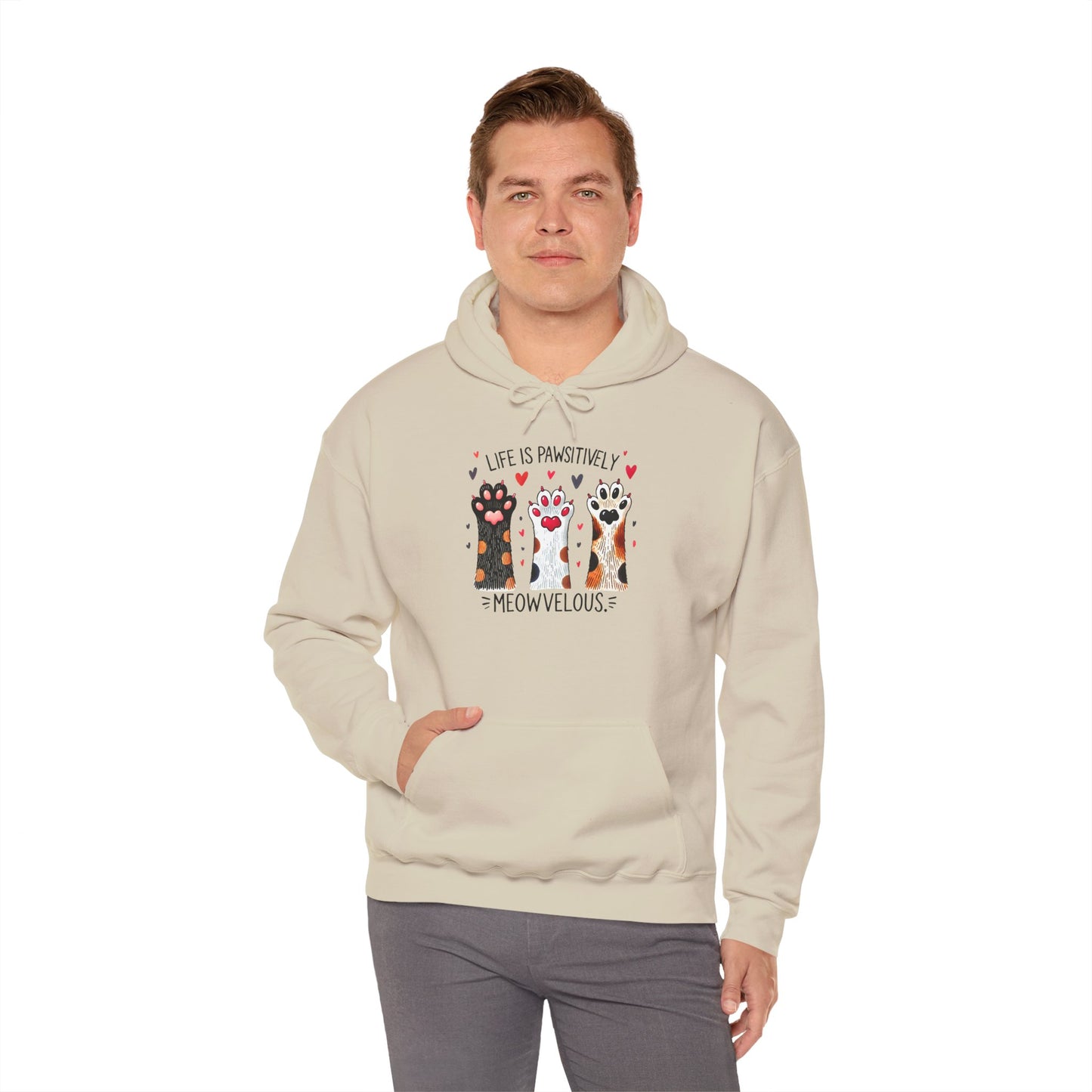 Cat Lover Hoodie — "Life is Pawsitively Meowvelous" Cute Cat Graphic Pullover