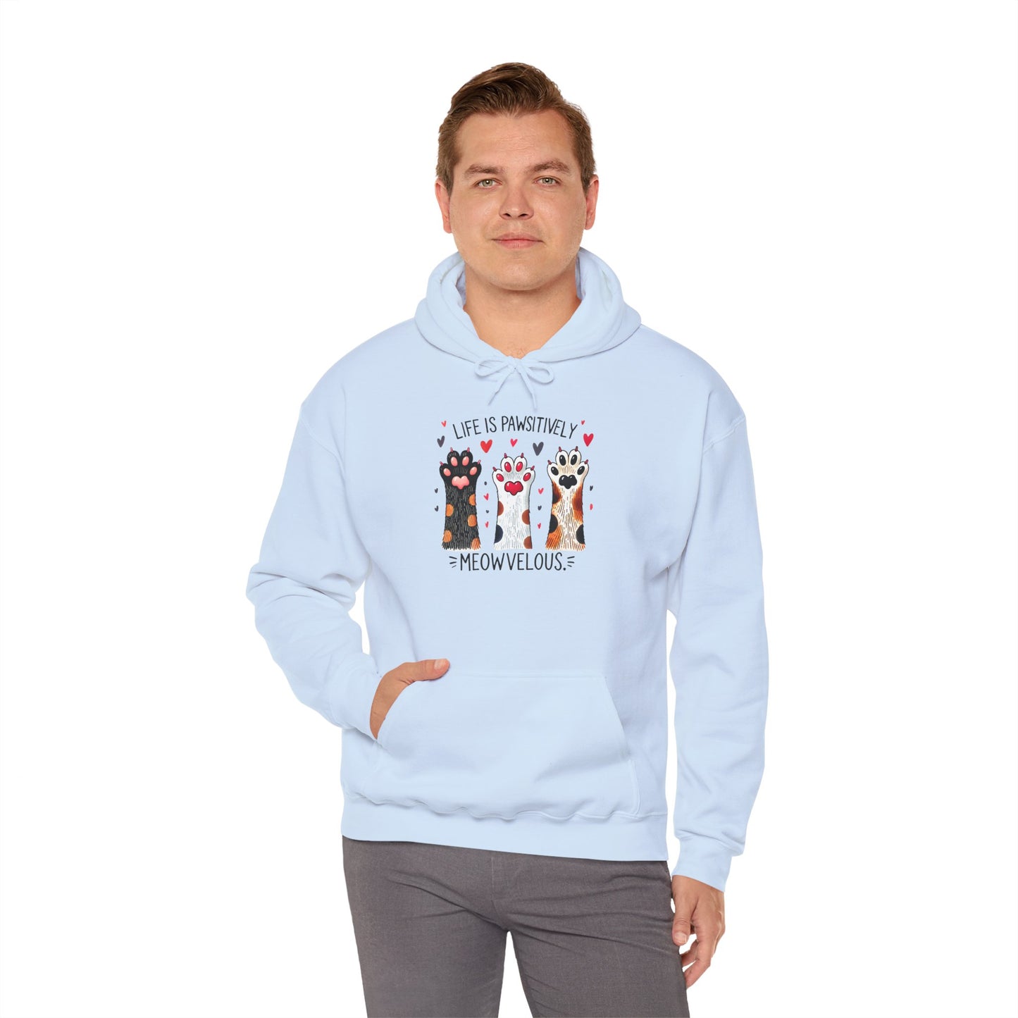 Cat Lover Hoodie — "Life is Pawsitively Meowvelous" Cute Cat Graphic Pullover