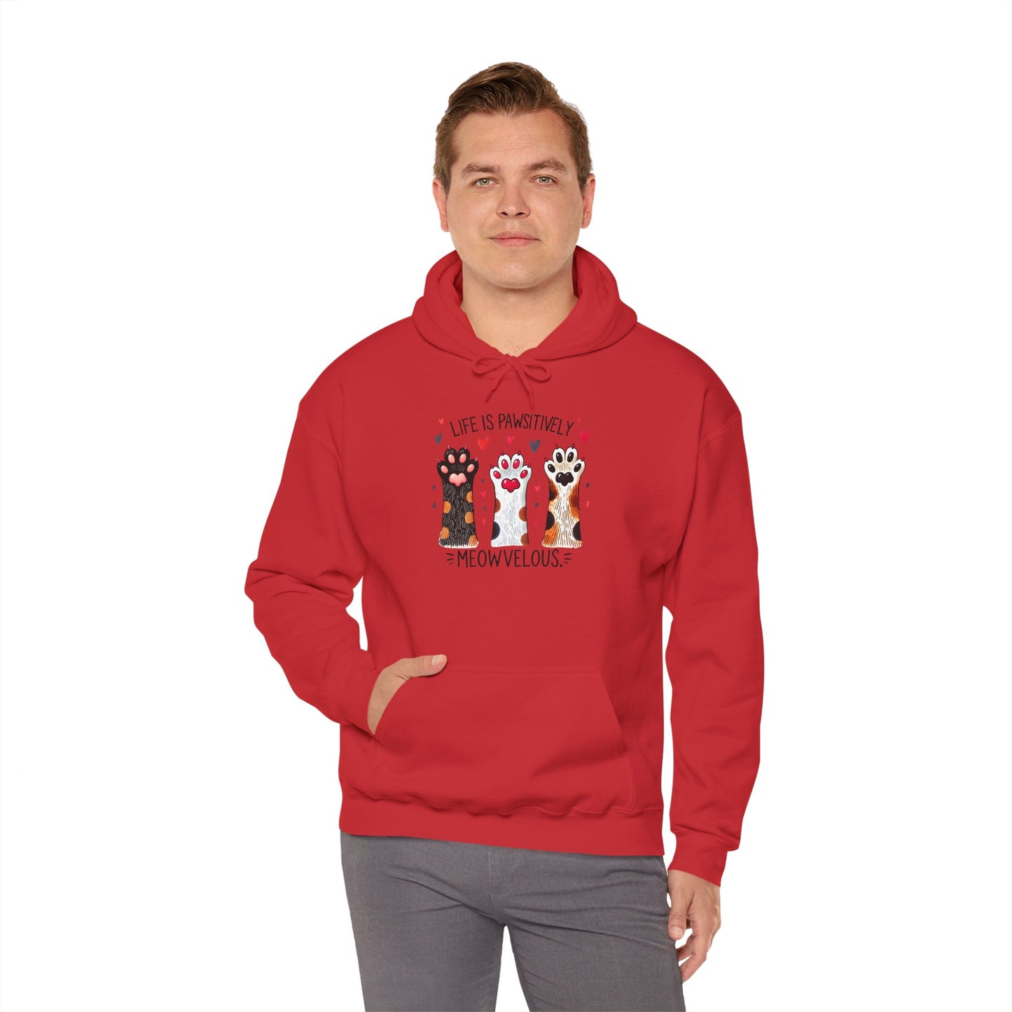 Cat Lover Hoodie — "Life is Pawsitively Meowvelous" Cute Cat Graphic Pullover