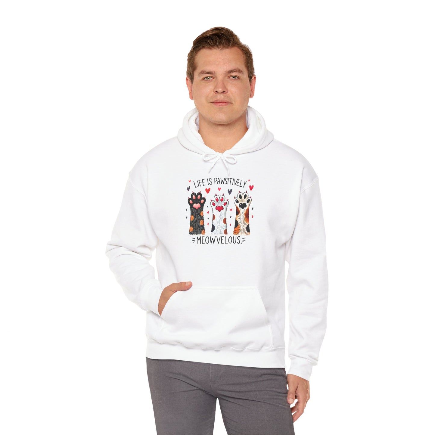 Cat Lover Hoodie — "Life is Pawsitively Meowvelous" Cute Cat Graphic Pullover