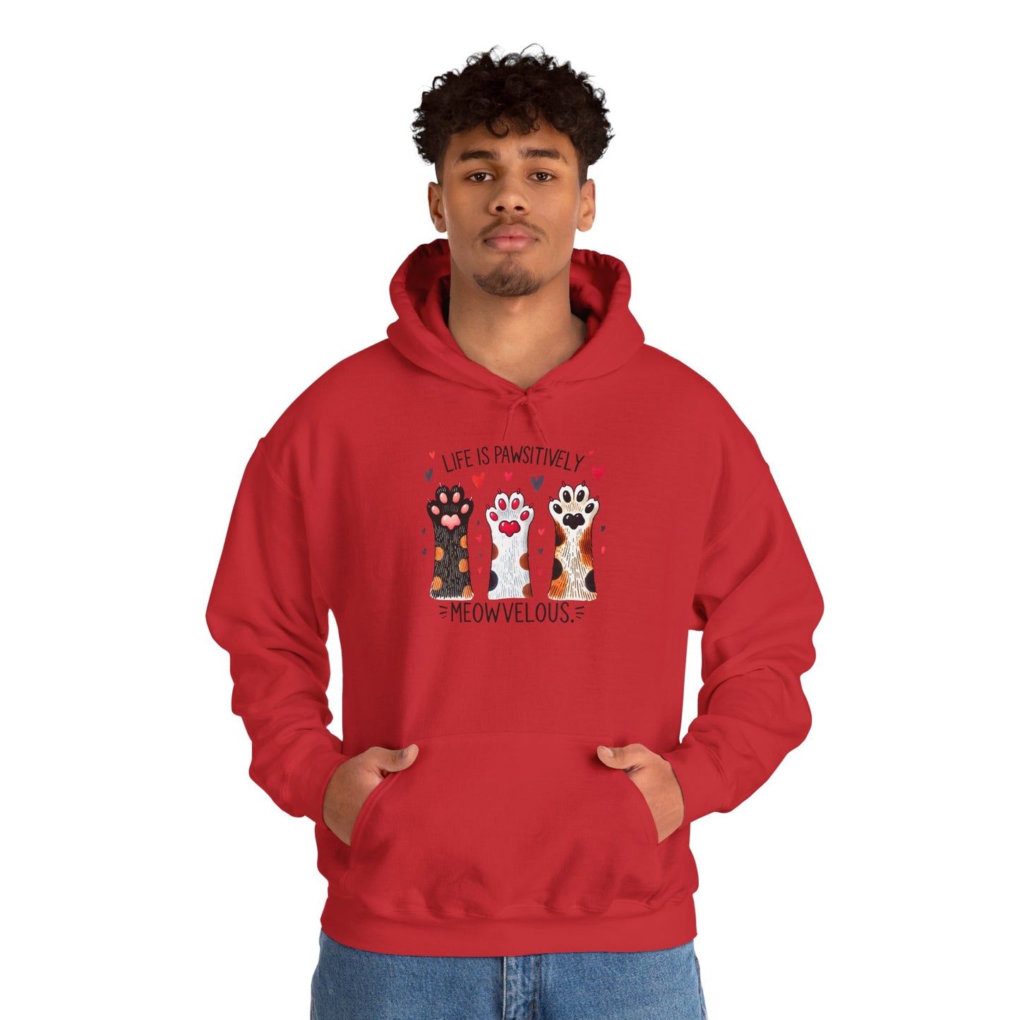 Cat Lover Hoodie — "Life is Pawsitively Meowvelous" Cute Cat Graphic Pullover