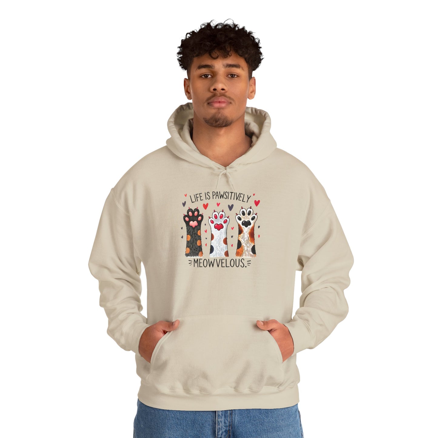 Cat Lover Hoodie — "Life is Pawsitively Meowvelous" Cute Cat Graphic Pullover