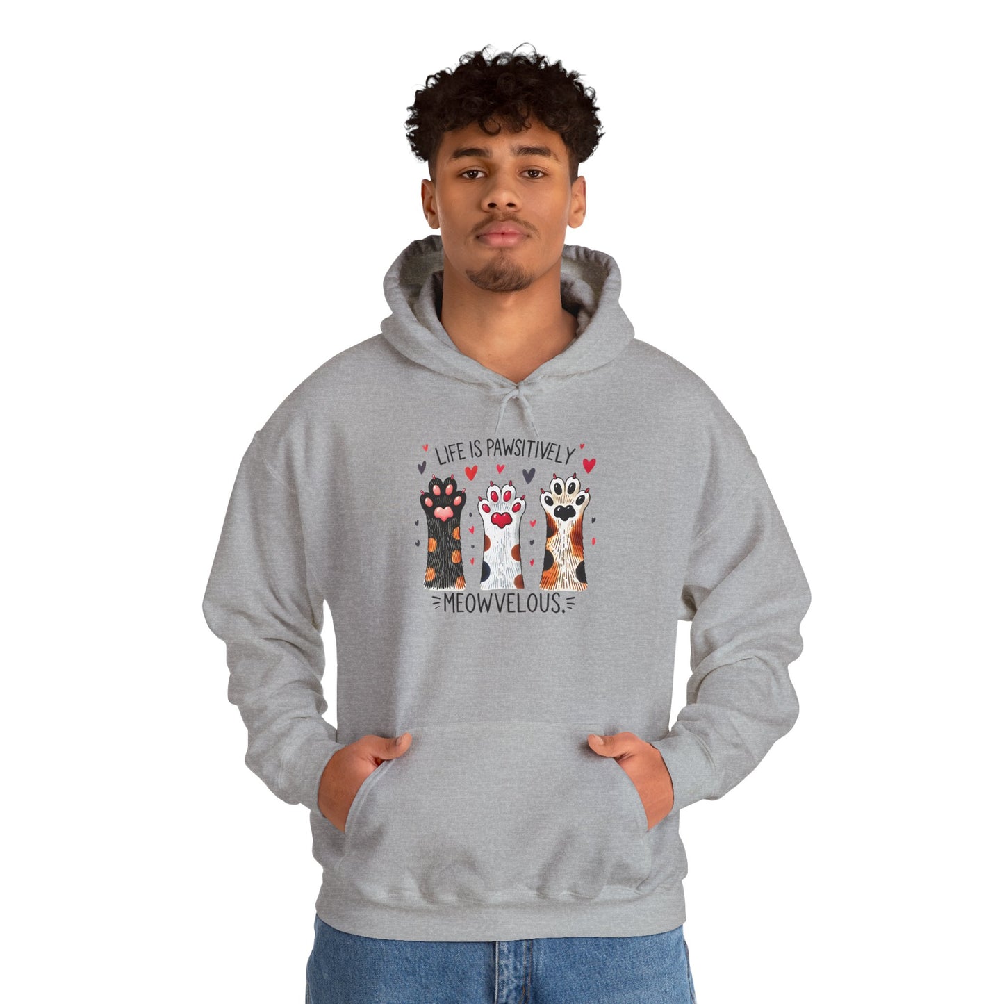 Cat Lover Hoodie — "Life is Pawsitively Meowvelous" Cute Cat Graphic Pullover