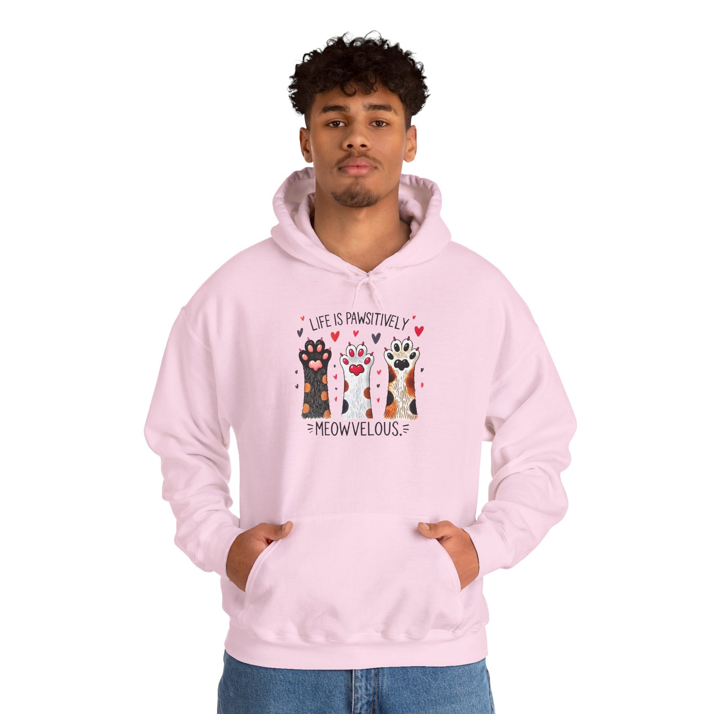 Cat Lover Hoodie — "Life is Pawsitively Meowvelous" Cute Cat Graphic Pullover