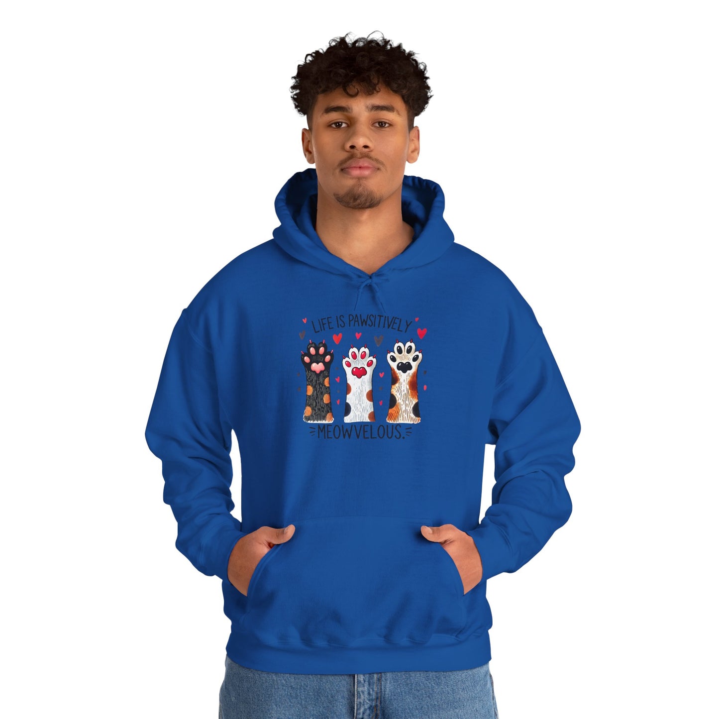 Cat Lover Hoodie — "Life is Pawsitively Meowvelous" Cute Cat Graphic Pullover